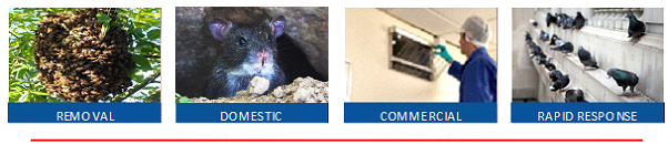 PestForce Pest Control in Nottingham